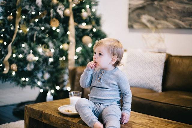 赤ちゃんと飾ろう 乳幼児に安全なクリスマスツリーの選び方 Chiik