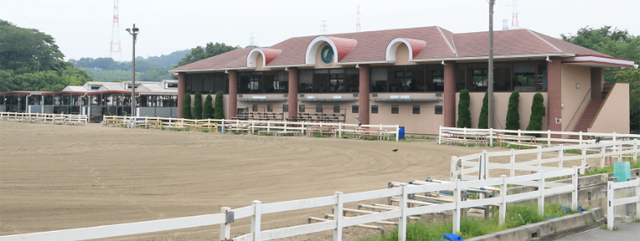 関東で子どもが気軽に乗馬体験できるスポット 4選 Chiik