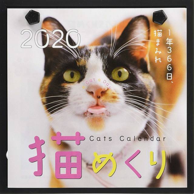 子どもと一緒に楽しめる オススメの日めくりカレンダー4選 Chiik チーク 乳幼児 小学生までの知育 教育メディア