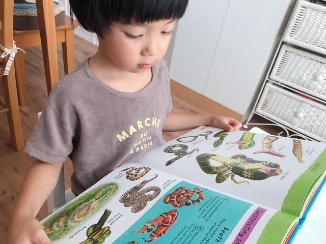 おうちで英会話 育児に使える英語フレーズ集 Chiik チーク 乳幼児 小学生までの知育 教育メディア