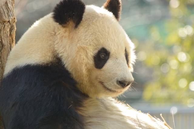 関東エリアの動物園をご紹介 家族の休日を動物とともに過ごそう Chiik