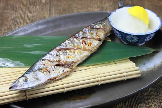 上手な魚の食べ方と教え方のコツ 子どもの食育 集中力向上に Chiik