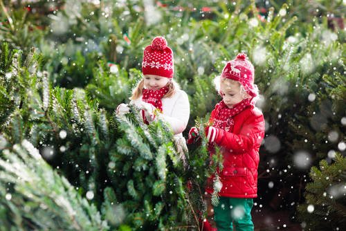 Ikeaのもみの木でクリスマスを豪華に演出しよう Chiik