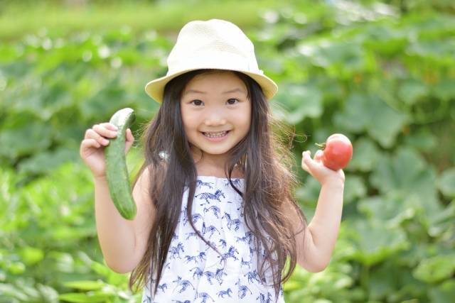 夏のことわざ 慣用句を親子で親しむ 学べて使える5選 Chiik チーク 乳幼児 小学生までの知育 教育メディア