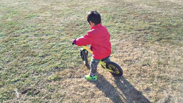はじめて乗るならどっちがいい ストライダーと三輪車 Chiik チーク 乳幼児 小学生までの知育 教育メディア はじめて乗るならどっちがいい ストライダーと三輪車 Chiik チーク 乳幼児 小学生までの知育 教育メディア