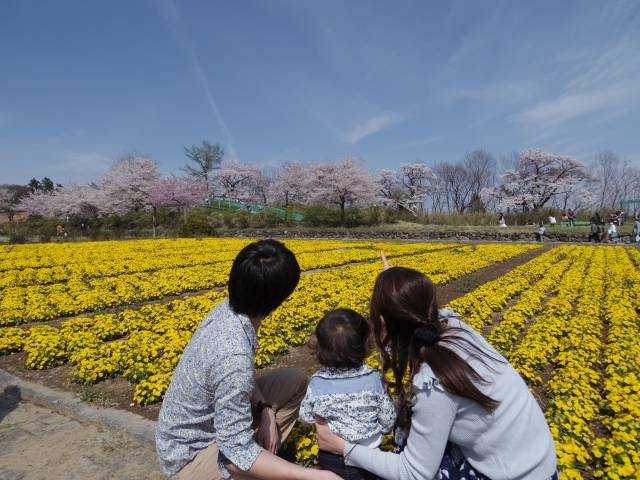 赤ちゃんと一緒に旅行に行けるのはいつから 便利な持ち物を解説 Chiik チーク 乳幼児 小学生までの知育 教育メディア