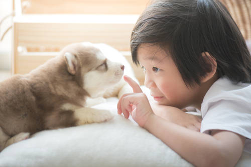 犬と戯れる子どもが見たい 飼いやすい犬種と飼うときの注意点 Chiik チーク 乳幼児 小学生までの知育 教育メディア
