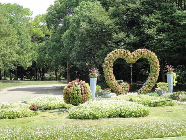 大阪にある植物園を紹介 子連れで楽しめるスポット5選 Chiik