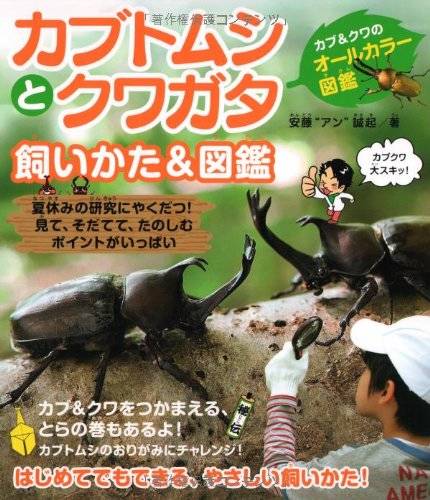 カブトムシを飼うなら おすすめの飼育ガイドと絵本5選 Chiik