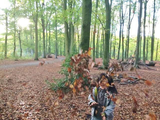 感性を育てる落ち葉遊びと 落ち葉を使った工作アイディア集 Chiik