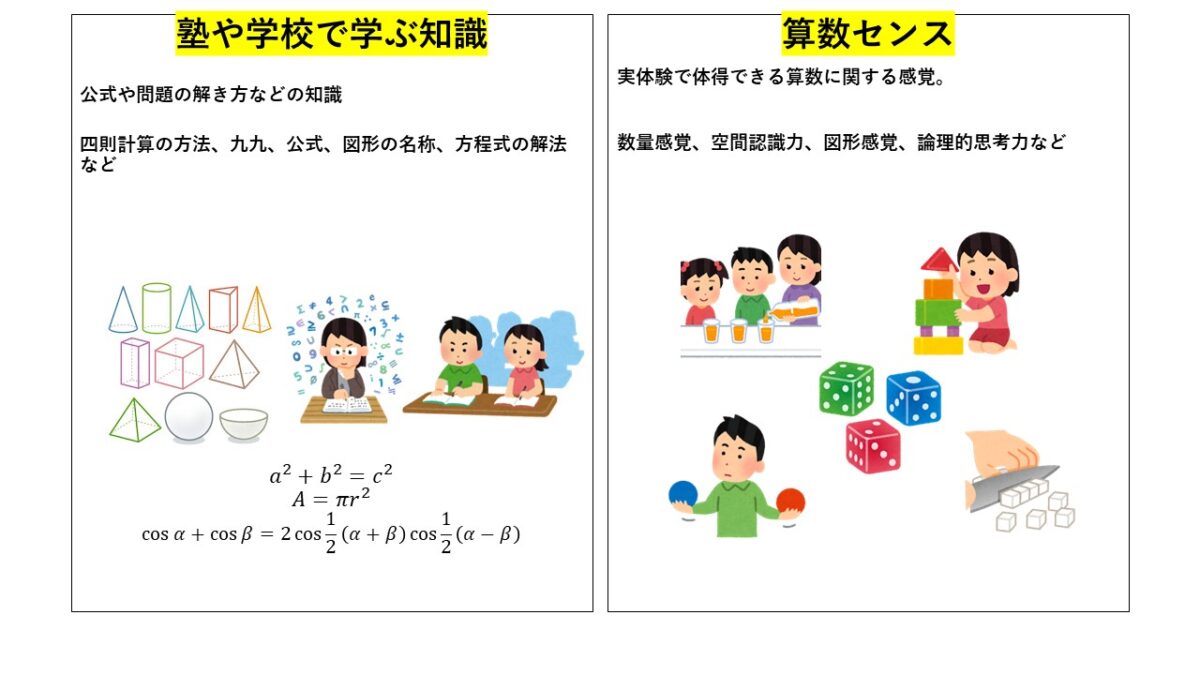 自然と算数が得意な子になる方法 算数のセンスは遊びで育つ Chiik チーク 乳幼児 小学生までの知育 教育メディア