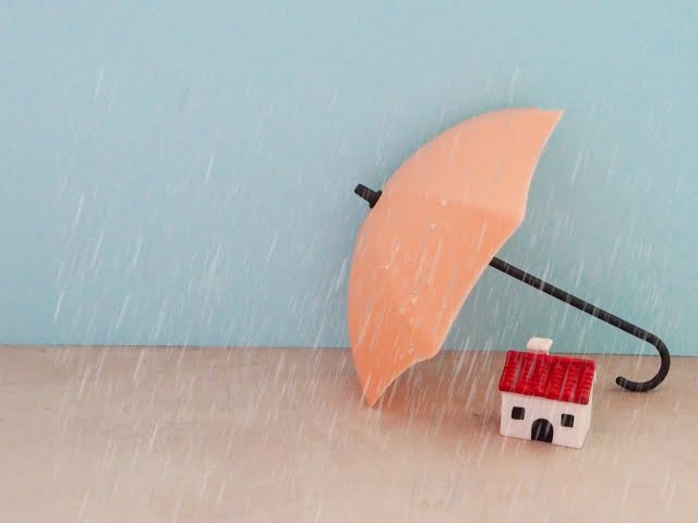 梅雨と傘