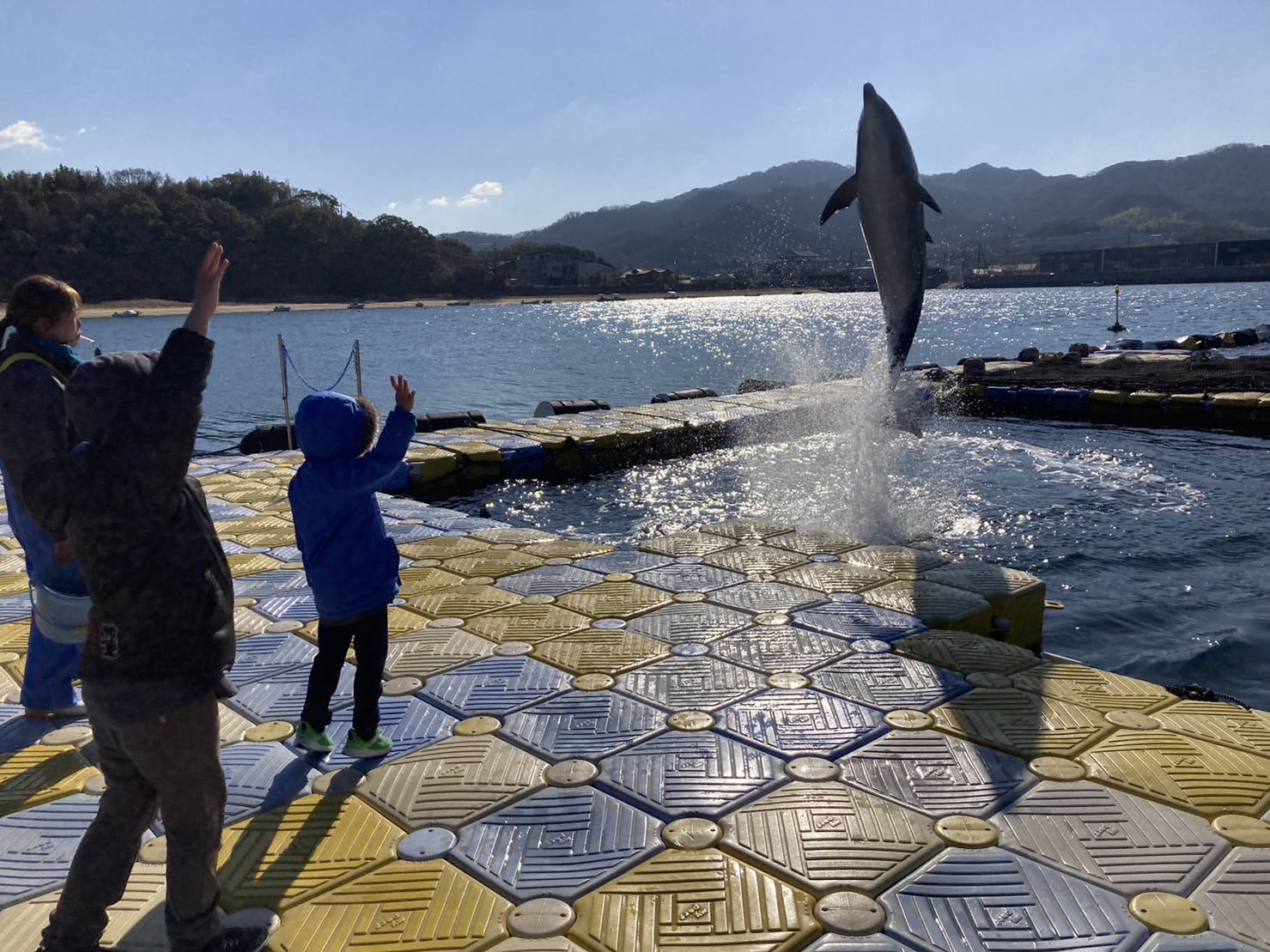 関西発子連れドライブ】日本ドルフィンセンターでイルカとあそぶ