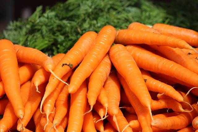 無料の写真: ニンジン, ニンジンの束, オレンジ色の野菜, 根物野菜 - Pixabayの無料画像 - 410670 (3698)