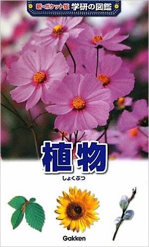 植物 (新ポケット版 学研の図鑑) : 高橋秀男 : 本 : Amazon (4175)