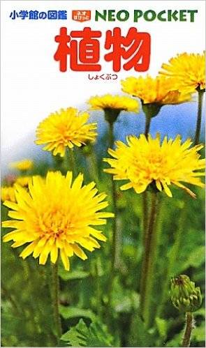 植物 (小学館の図鑑 NEOポケット) : 和田 浩志, 岡田 比呂実, 吹春 俊光 : 本 : Amazon (4179)