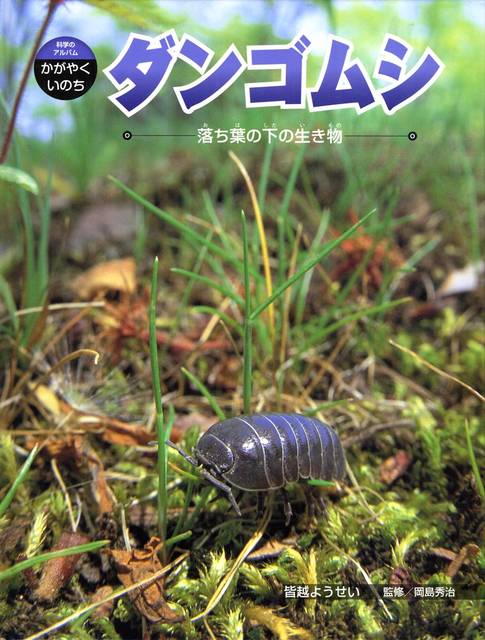 Amazon.co.jp： ダンゴムシ―落ち葉の下の生き物 (科学のアルバム・かがやくいのち 2): 皆越 ようせい: 本 (12342)