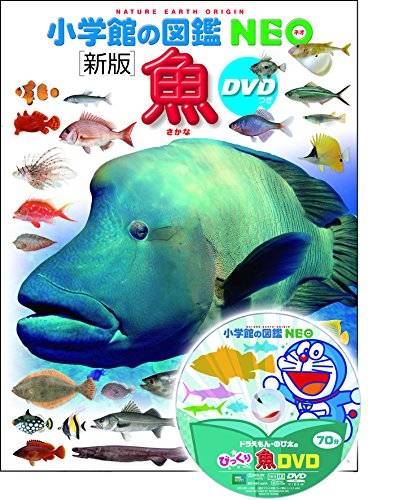 DVD付　新版　魚 (小学館の図鑑 NEO) : 井田 齋, 松浦 啓一 : 本 : Amazon (13240)