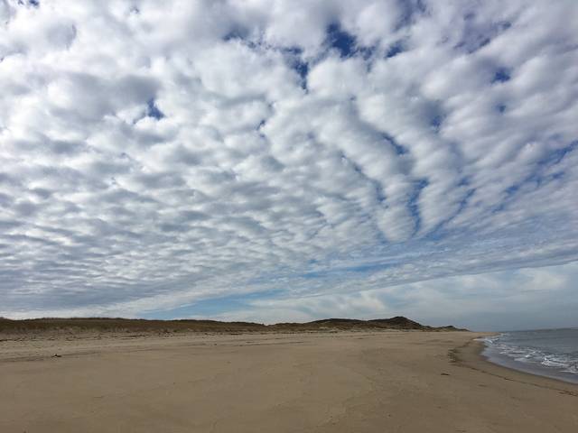無料の写真: ビーチ, 雲, 空, 潮, 波, 海, 砂, 海岸, 空の雲, 砂丘 - Pixabayの無料画像 - 1375109 (19957)
