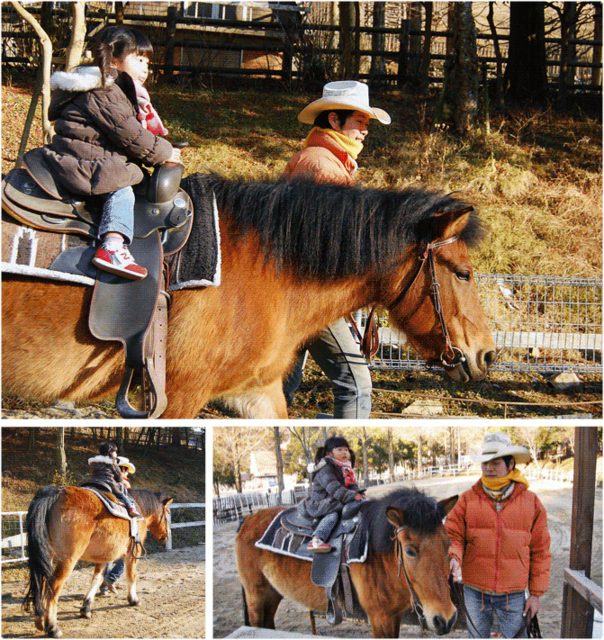 乗馬体験（引き馬） | 六甲山牧場 (27625)