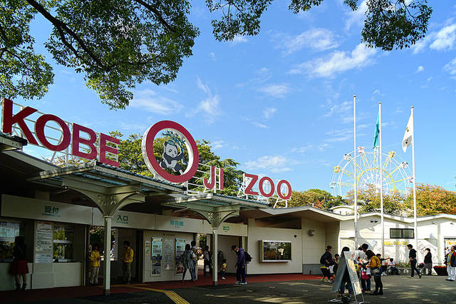 File:141025 Kobe Oji Zoo Kobe Japan01s3.jpg - Wikimedia Commons (41655)