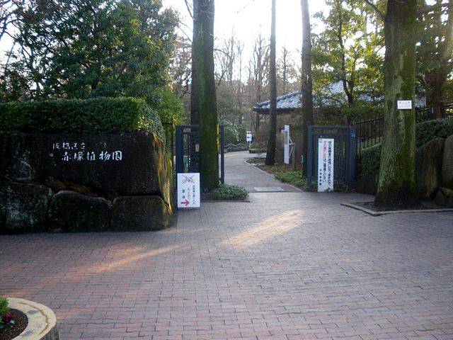File:Akatsuka botanic garden entrance itabashi.JPG - Wikimedia Commons (42242)