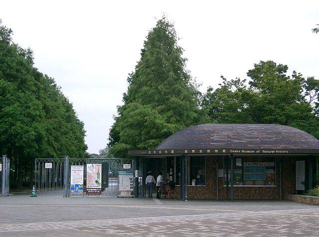 File:Nagai Botanical Garden+Osaka Museum of Natural History.jpg - Wikimedia Commons (42255)