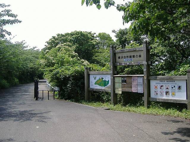 File:Yokohama Nature Sanctuary-Entrance.jpg - Wikimedia Commons (46774)