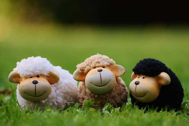 無料の写真: 羊, 牧草地, 動物, デコ, 羊の群れ, セラミック - Pixabayの無料画像 - 1642874 (46780)
