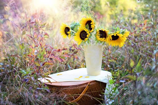 無料の写真: ヒマワリ, 花瓶, 秋, 花束, 花, 感謝 - Pixabayの無料画像 - 1719119 (48598)