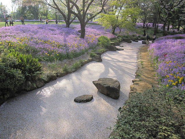 国営昭和記念公園 - Wikipedia (49829)