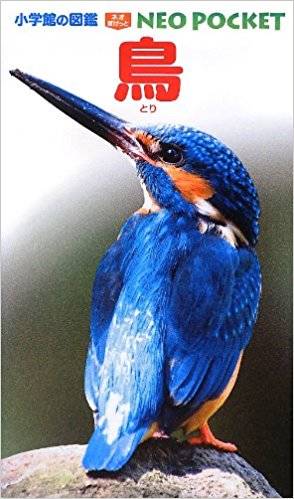 鳥 (小学館の図鑑 NEOポケット) | 柚木 修, 上田 恵介, 水谷 高英 |本 | 通販 | Amazon (50469)