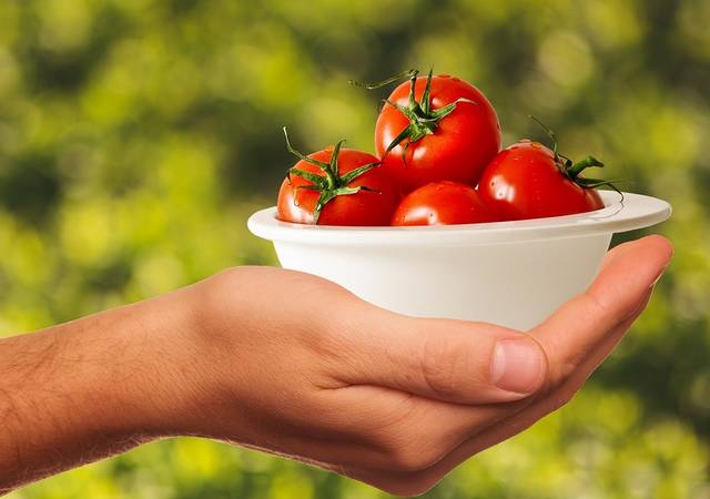 無料の写真: トマト, 野菜, 健康, 食品, おいしい, 赤, ビタミン, 食べる - Pixabayの無料画像 - 1993695 (54424)