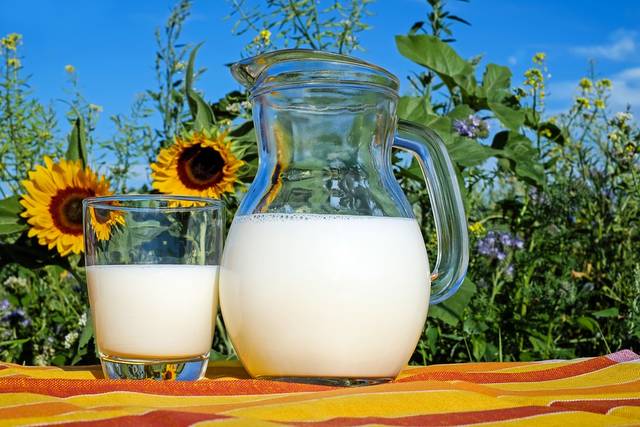 無料の写真: ミルク, ガラス, フリッシュ, 健康, ドリンク, 食品, おいしい - Pixabayの無料画像 - 2474993 (62286)