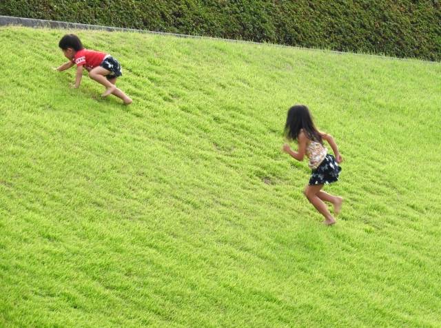 芝生で遊ぶ子供たち｜写真素材なら「写真AC」無料（フリー）ダウンロードOK (63845)