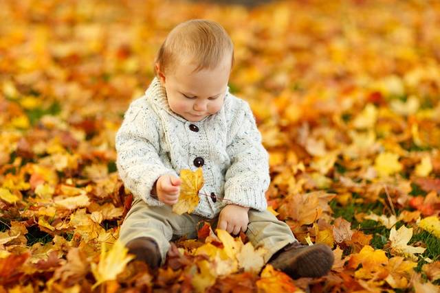 無料の写真: 秋, 男の赤ちゃん, 子, かわいい, 子ども, 屋外, 公園, 人 - Pixabayの無料画像 - 165184 (64986)