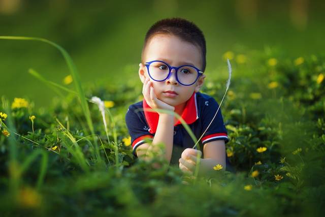 無料の写真: 子供, 赤ちゃん, 息子, 親愛なります, 草原, ベトナム, 肖像画 - Pixabayの無料画像 - 1508121 (66627)