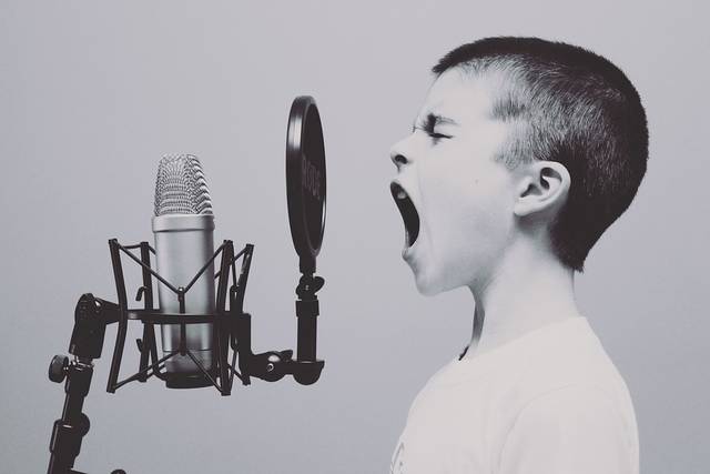 無料の写真: マイク, 少年, スタジオ, 叫び, 叫んで, 歌う, 歌, 黒と白 - Pixabayの無料画像 - 1209816 (67778)