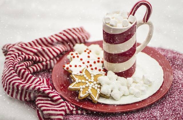 Free photo: Candy Cane, Hot Chocolate, Cocoa - Free Image on Pixabay - 1908024 (68264)
