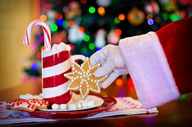 Free photo: Santa'S Arm, Hot Chocolate, Cocoa - Free Image on Pixabay - 1906513 (68270)