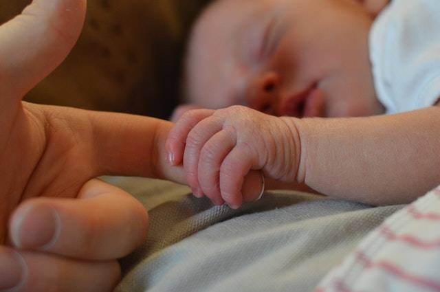 Baby Holding Human Finger · Free Stock Photo (71767)