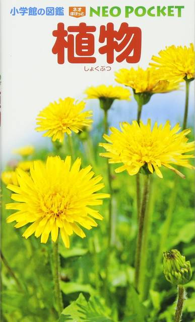植物 (小学館の図鑑 NEOポケット) | 和田 浩志, 岡田 比呂実, 吹春 俊光 |本 | 通販 | Amazon (73873)