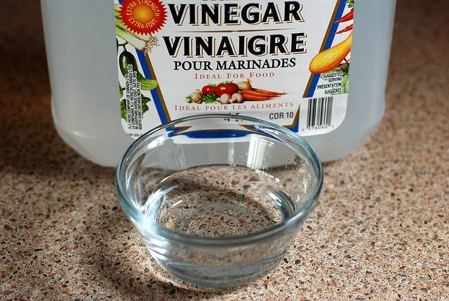 Free photo: Vinegar, Cleaning, Cleaner, Clean - Free Image on Pixabay - 768948 (74962)