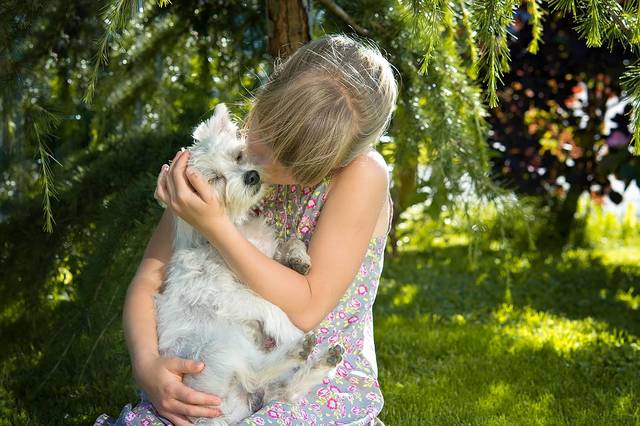 無料の写真: 子, 女の子, 犬, 小型犬, 白, 愛, 寄り添う, キス, 友人 - Pixabayの無料画像 - 1538557 (76697)
