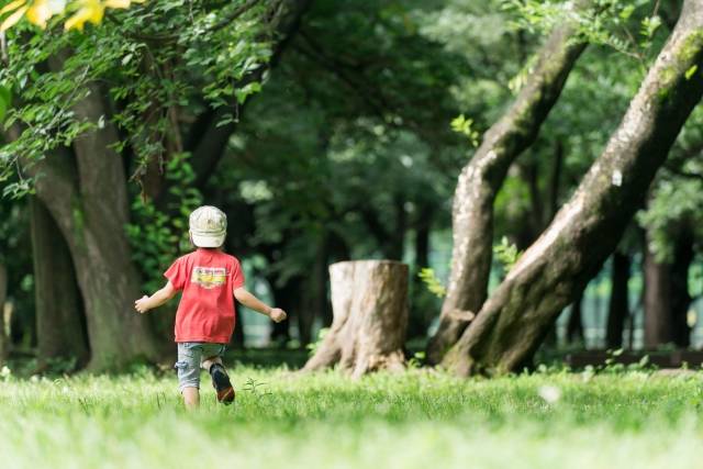 公園で遊ぶ子供｜写真素材なら「写真AC」無料（フリー）ダウンロードOK (76868)