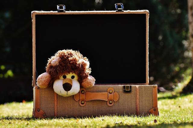 無料の写真: テディー ・ ベア, ライオン, 荷物, おかしい, おもちゃ - Pixabayの無料画像 - 2149742 (77545)