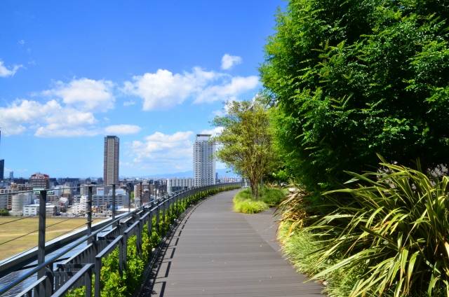 グランフロント大阪の空中庭園2｜写真素材なら「写真AC」無料（フリー）ダウンロードOK (78347)
