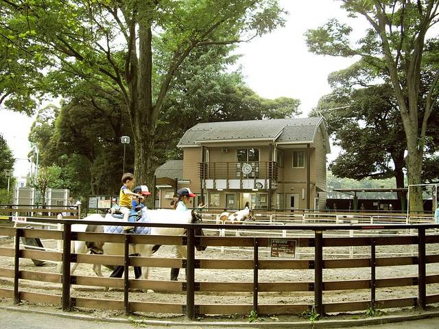 File:渋谷区立代々木ポニー公園 - panoramio.jpg - Wikimedia Commons (78542)