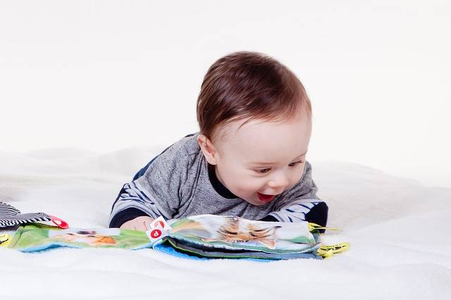 無料の写真: 子, 魅力的です, 赤ちゃん, 小冊子, 本プレビュー, 少しの天才 - Pixabayの無料画像 - 3045207 (78627)