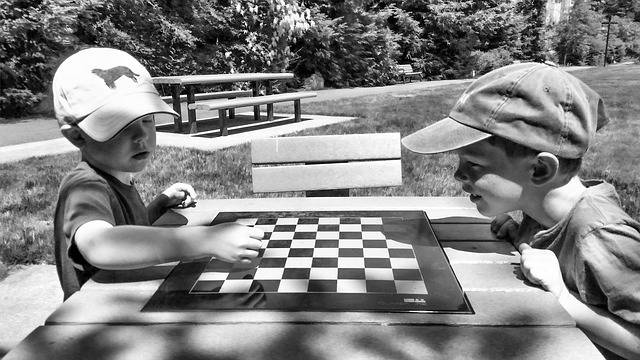 無料の写真: 公園, 日当たりの良い, チェス, チェッカー, 少年たち, 夏 - Pixabayの無料画像 - 2429633 (79997)